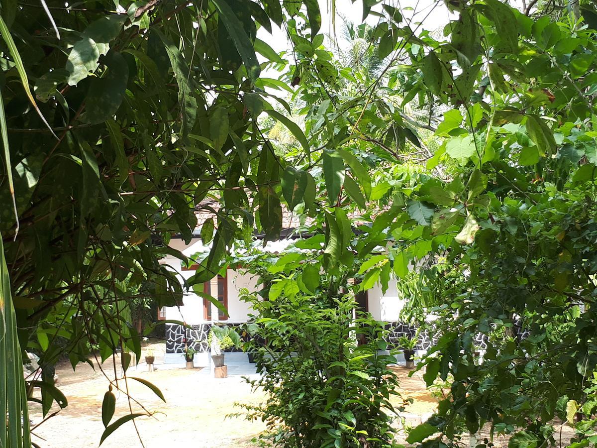 New Sam Tourist Inn Weligama Eksteriør bilde